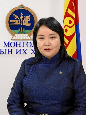 Н.Оюундарь: Бэлгийн дарамт учруулсан албан тушаалтныг 100 мянгаар торгодог болох юм гэнэ. Энэ чинь одоо хэнийг доромжлоод байнаа?